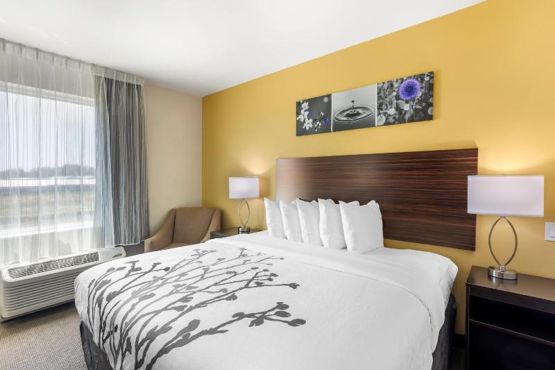 King Room - Non Smoking image 3