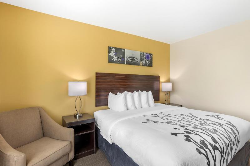King Room - Non Smoking image 2