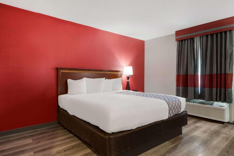 King Room with Roll - In Shower - Disability Access image 3