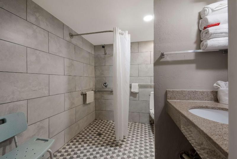 King Room with Roll - In Shower - Disability Access image 4
