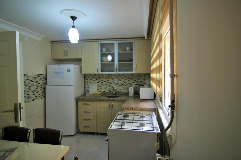 Two-Bedroom Apartment- Semi Basement  image 4