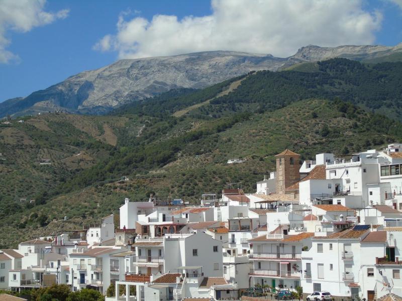 Villa Esperanza - Canillas de Albaida - image 50
