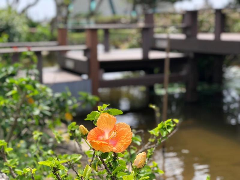 Kenting Summerland Garden Resort - image 32