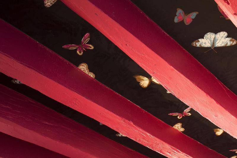 Suite Cocotte image 3