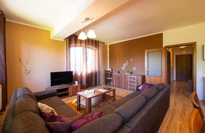 Deluxe Apartment image 1