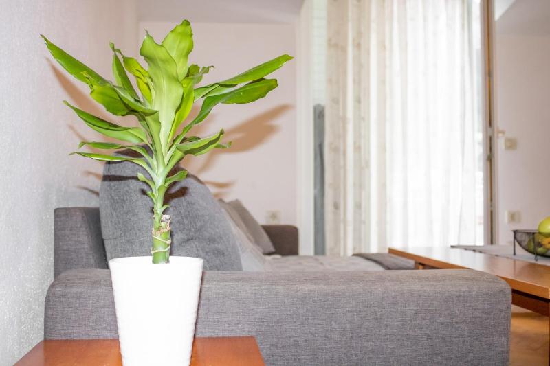 Apartment Sun - image 15