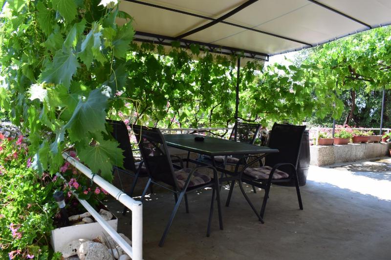 Apartment Grapes - image 9