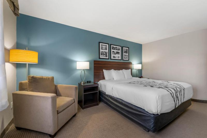 King Room - Non-Smoking image 3