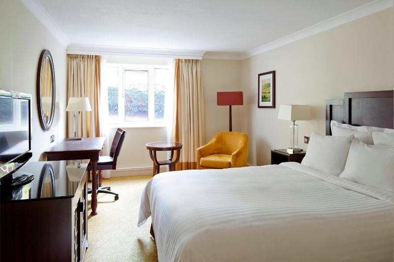 Deluxe King Room image 3