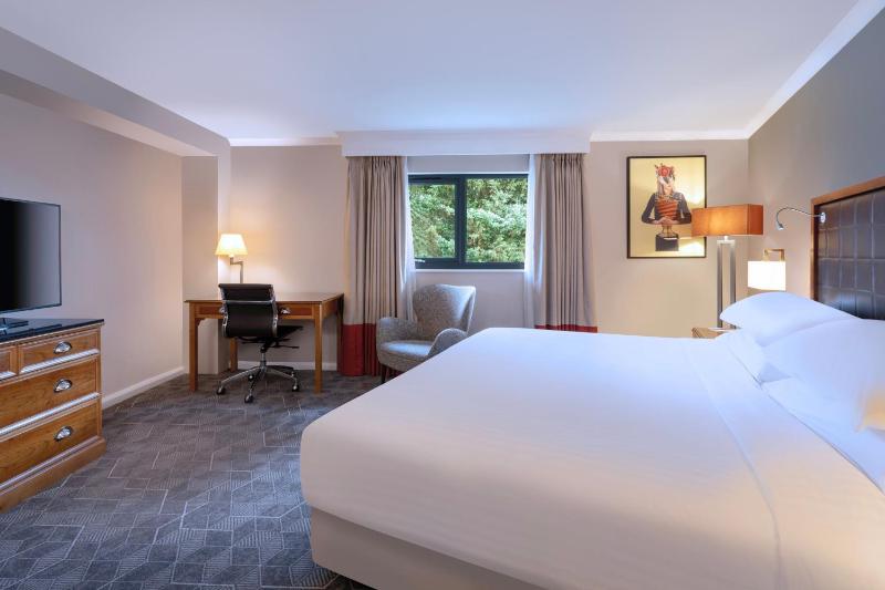 Large Deluxe Queen Room image 1