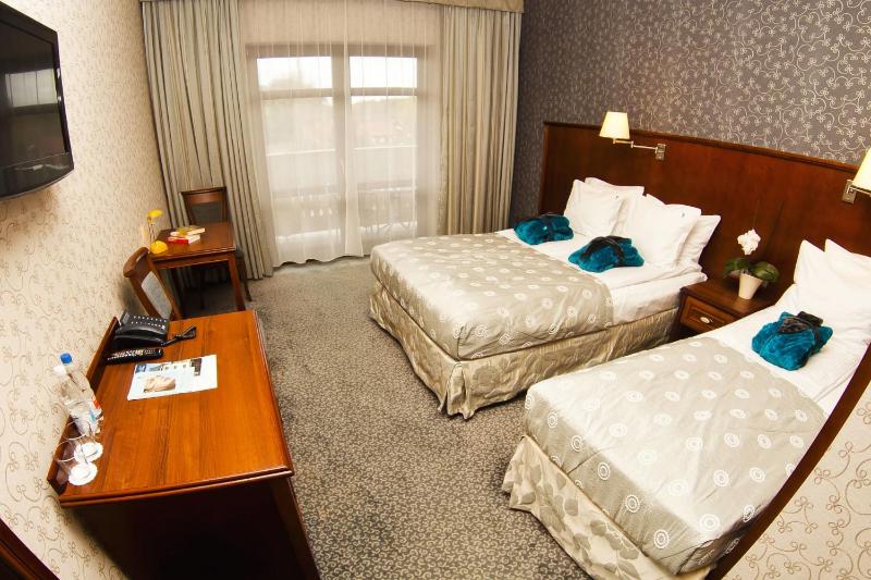 Large Double Room image 4