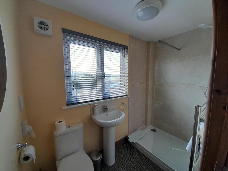 Deluxe King Room image 1
