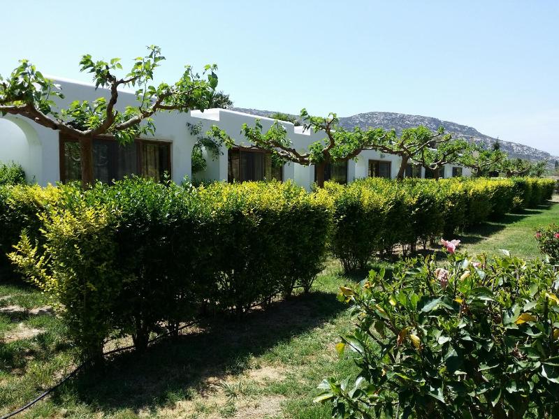 Bungalow Suite image 3