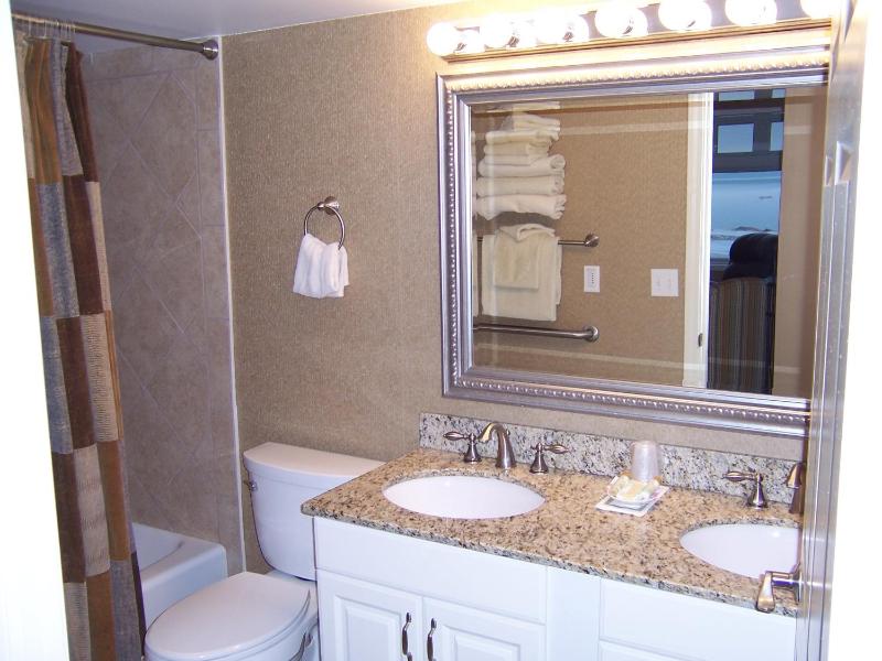 One-Bedroom Suite image 1