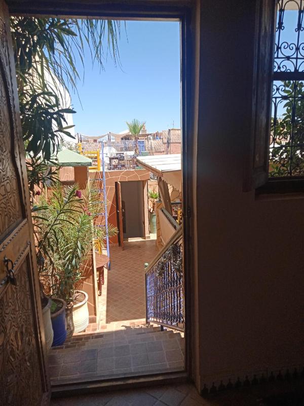 Riad Wink - image 7