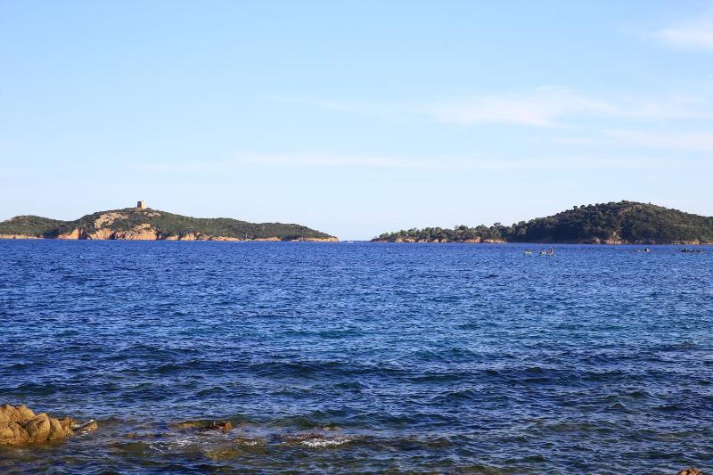 Double Room with Balcony and Sea View image 3