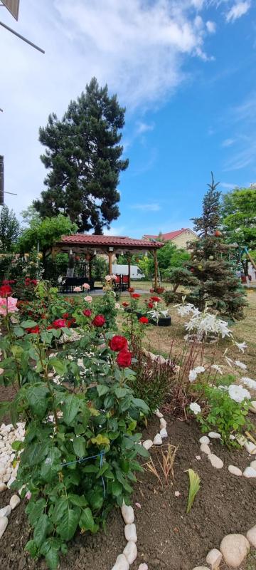 Vila Rusidava - image 23