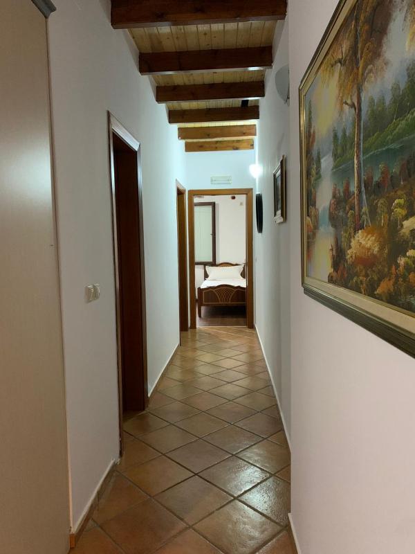 NoMad House-entire house at your disposal4 guests - image 7