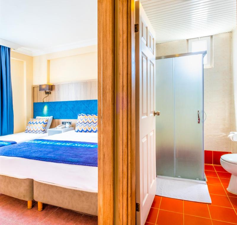 Standard Double or Twin Room image 2