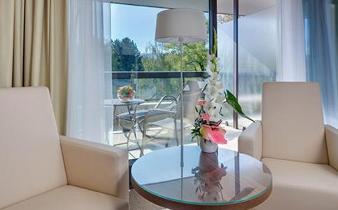 Premium Double Room Plus with Wellness Access image 3