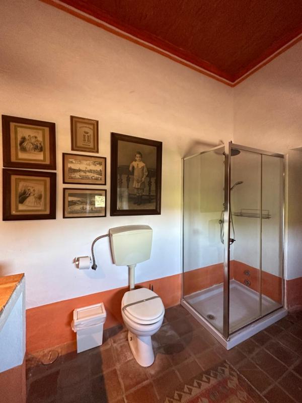 Comfort Triple Room with Shower image 1