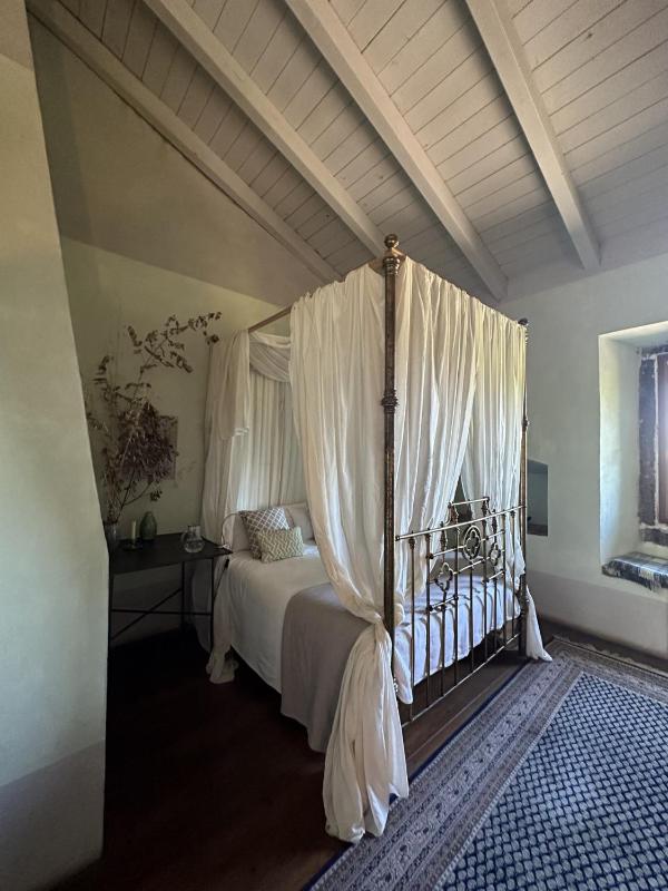 Deluxe Double Room image 3