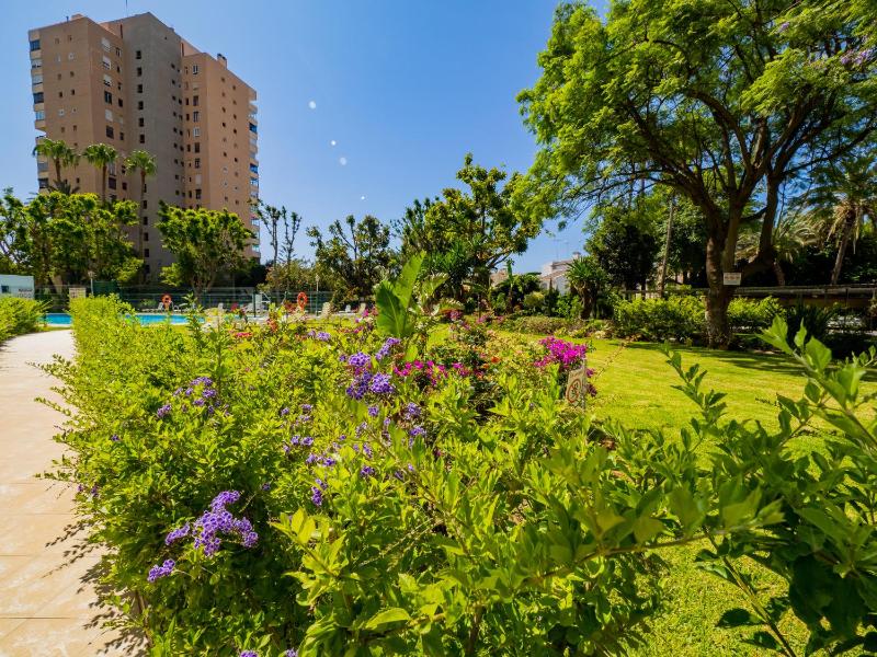 Cubo's Seaview Apartment Evy Playa - image 9