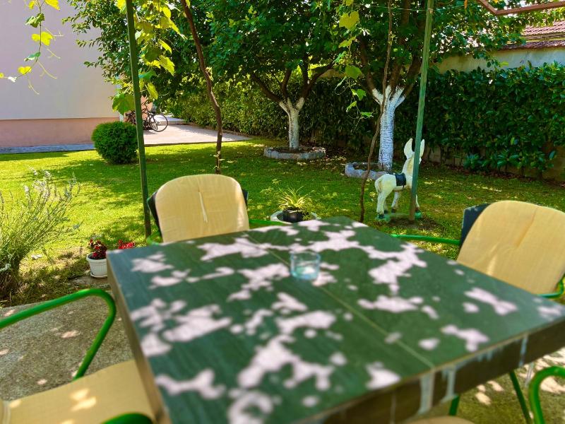 One-Bedroom Apartment image 2