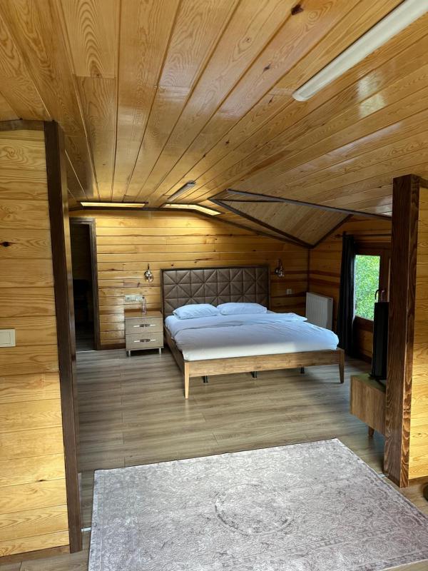 Duplex Apartment image 3