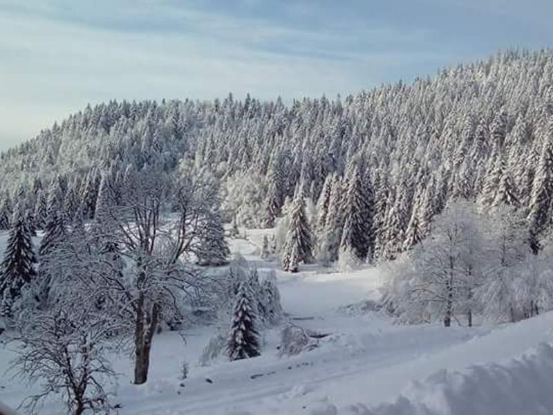 Holiday Home (4 Adults) image 4