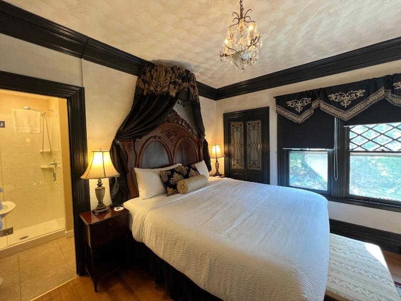 Deluxe King Suite image 4