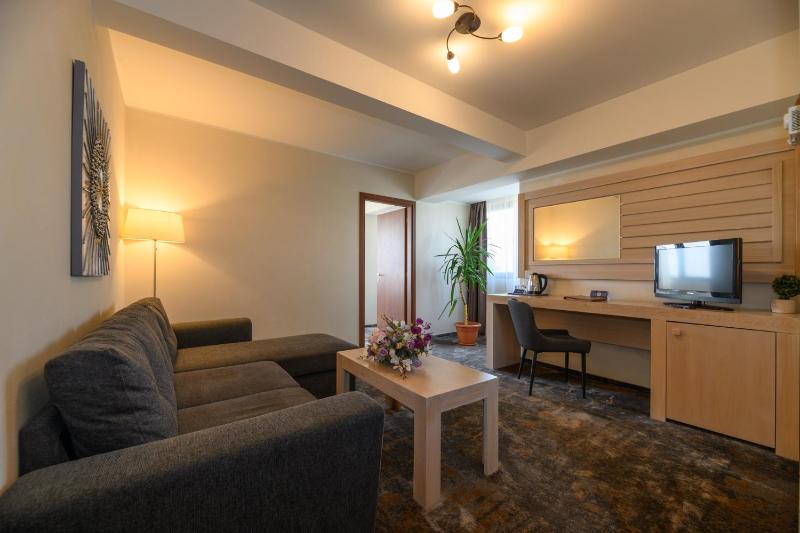 Superior Suite with Danube View  image 1