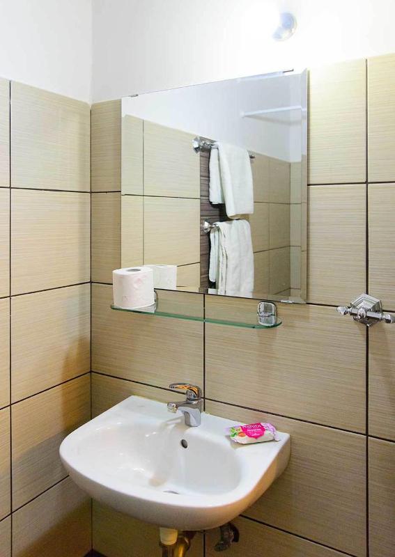 Double or Twin Room image 4
