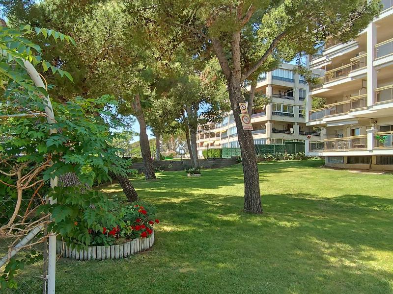 Beach & Flowers Free Parking - image 19