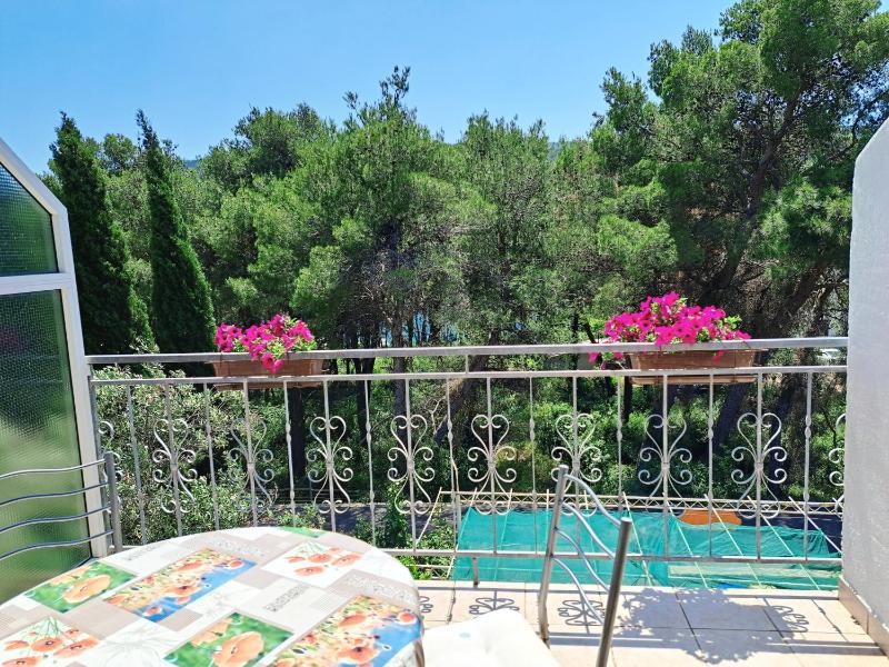 Apartment with Terrace image 3