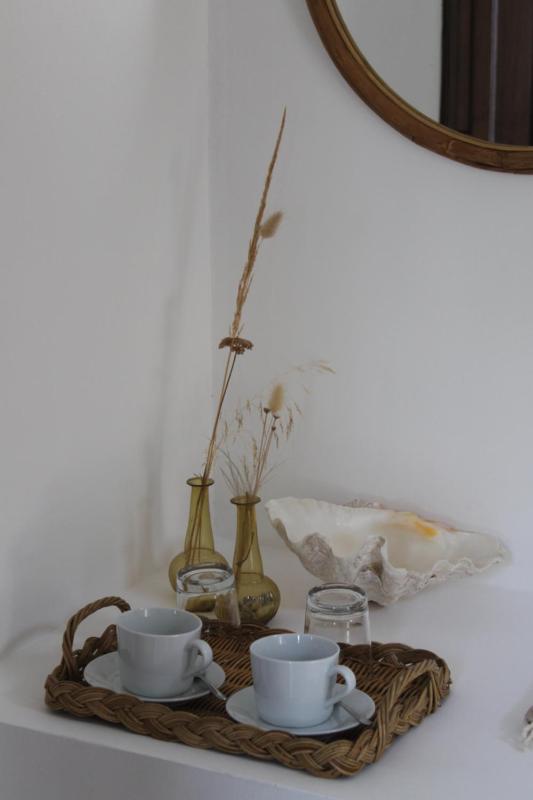 Clori Gaeta - image 39