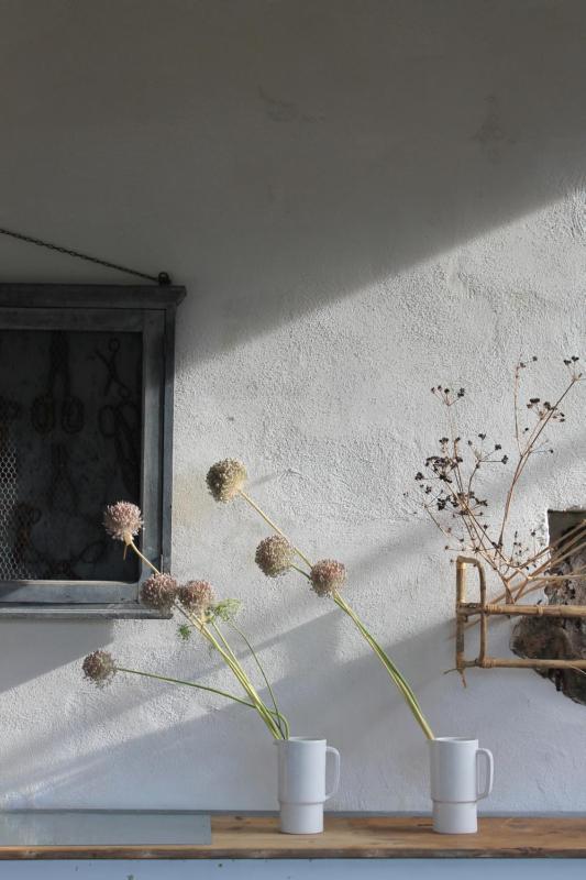 Clori Gaeta - image 31