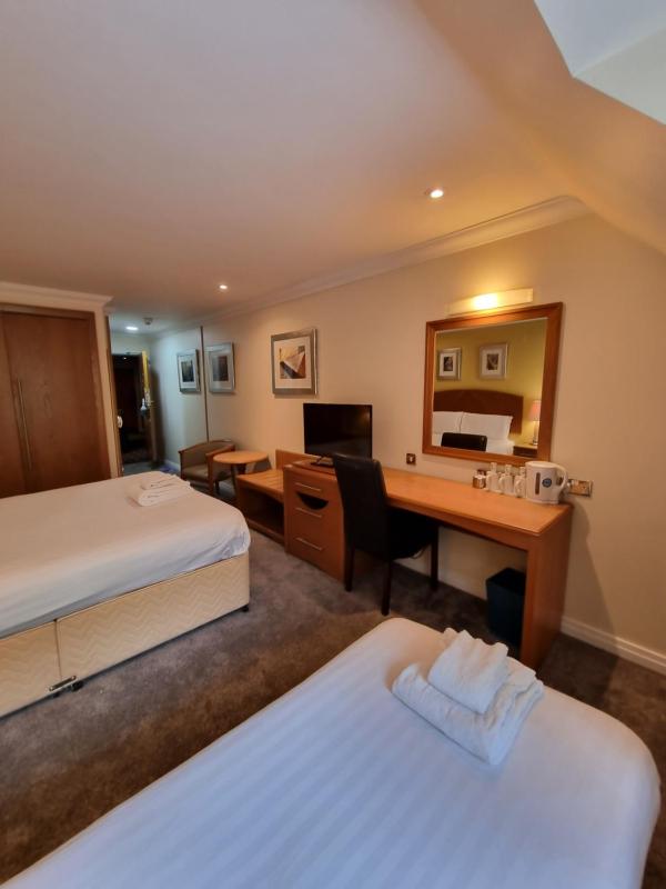 Superior Twin Room image 3