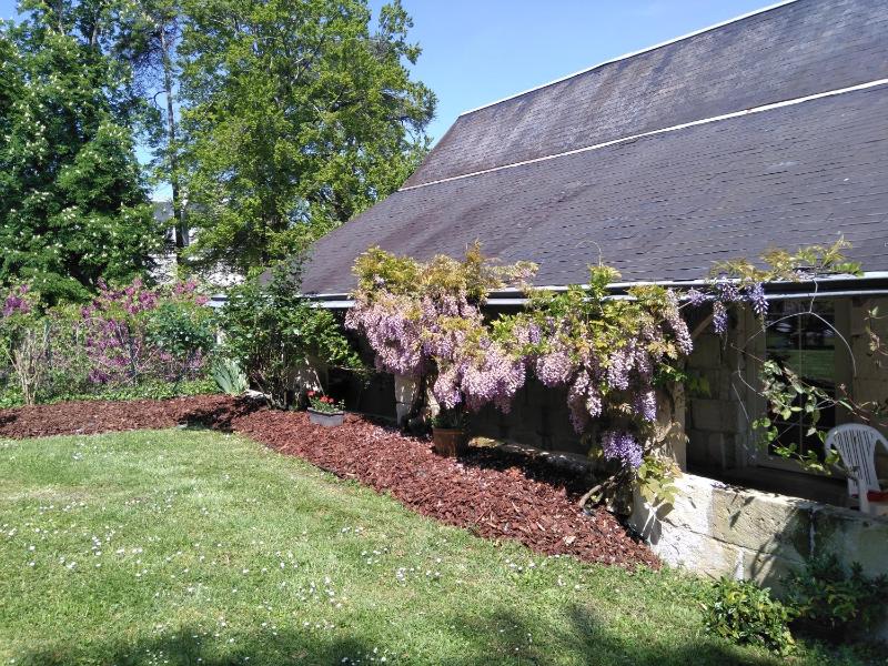 Holiday Home image 4