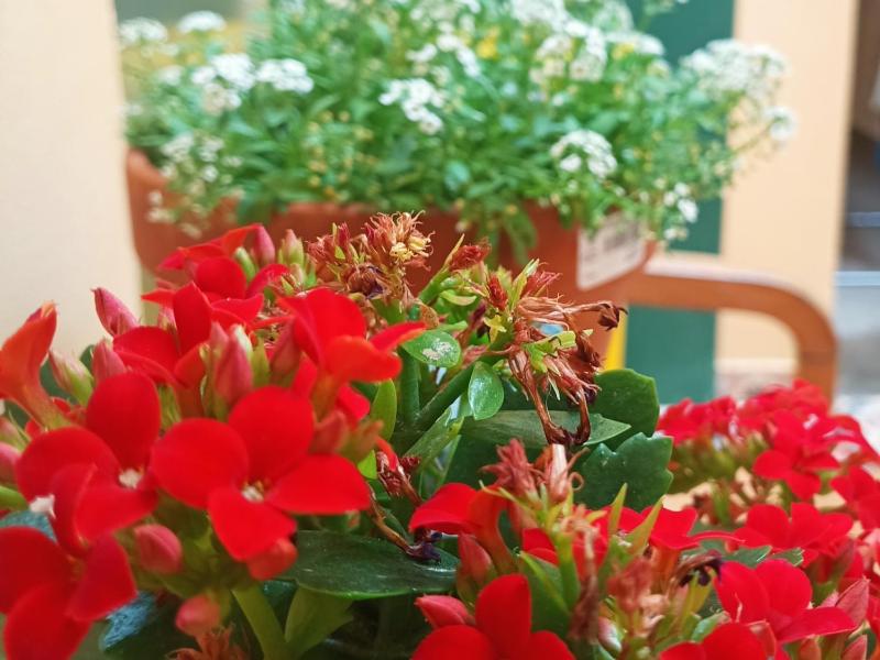 Hostel Allegro - image 25