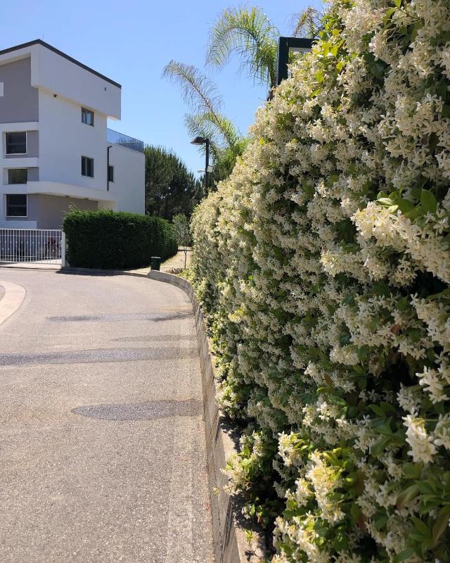 Rezidenca Primavera Apartments - image 11