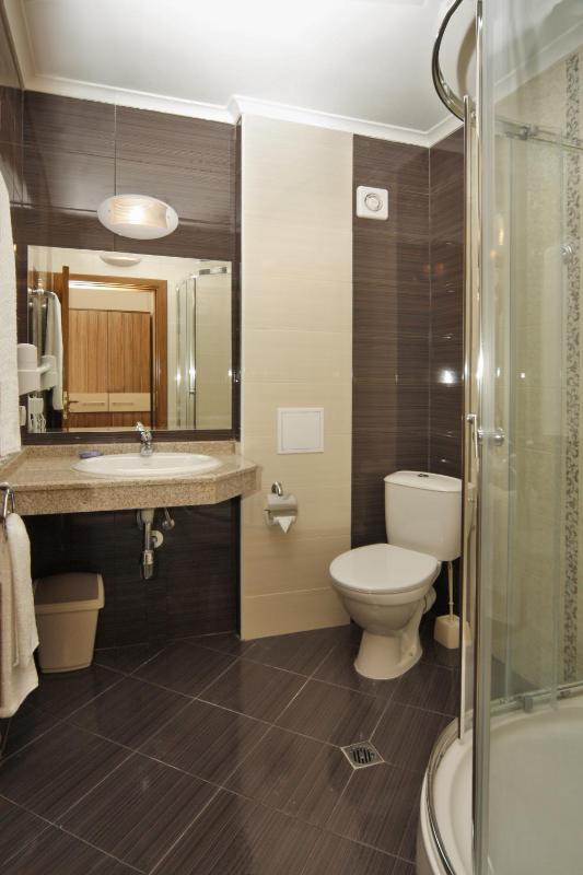 One-Bedroom Apartment (4 Adults) image 2