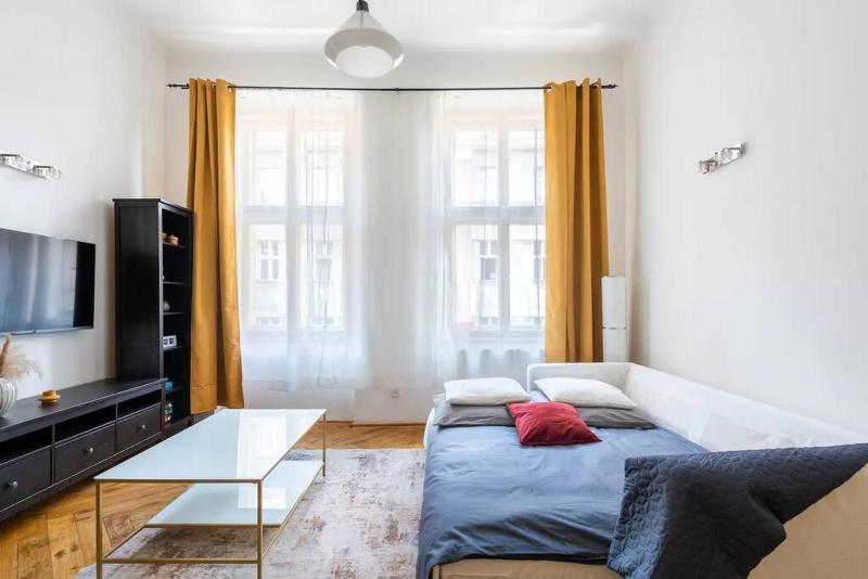 Spacious apartment with balcony at Wenceslas Sq - image 12