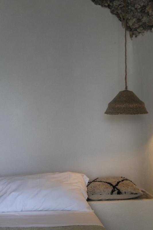 Clori Gaeta - image 6