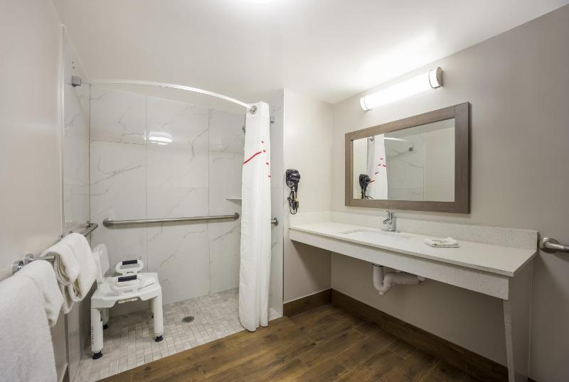 Deluxe King Room Disability Access Roll-In Shower Smoke Free image 2