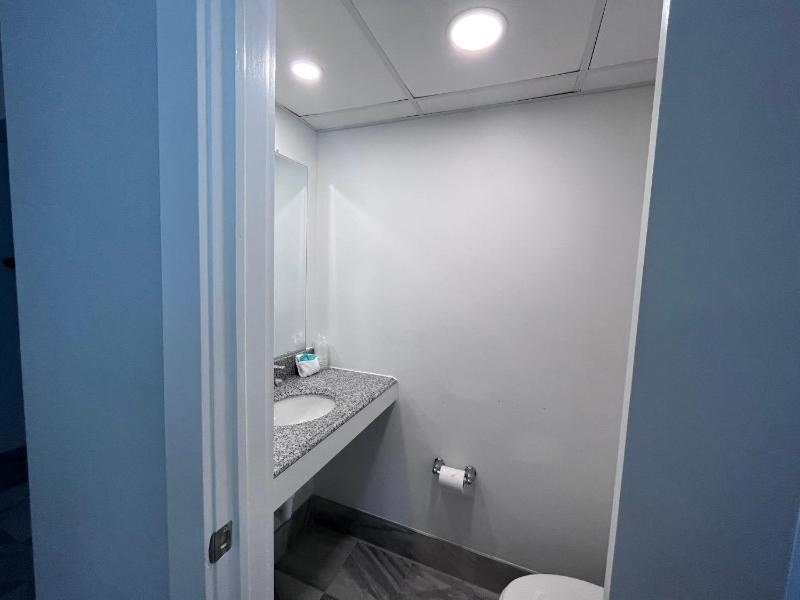 Deluxe King Efficiency Suite image 3