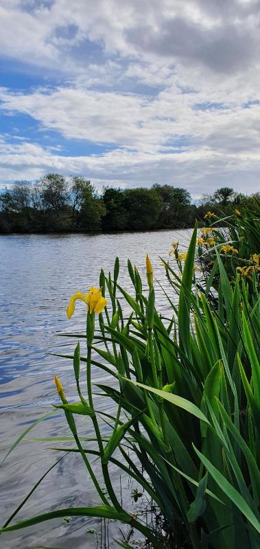 Two-Bedroom Bungalow image 4