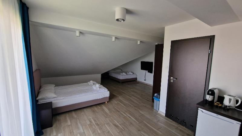 Gesi Puch - image 12