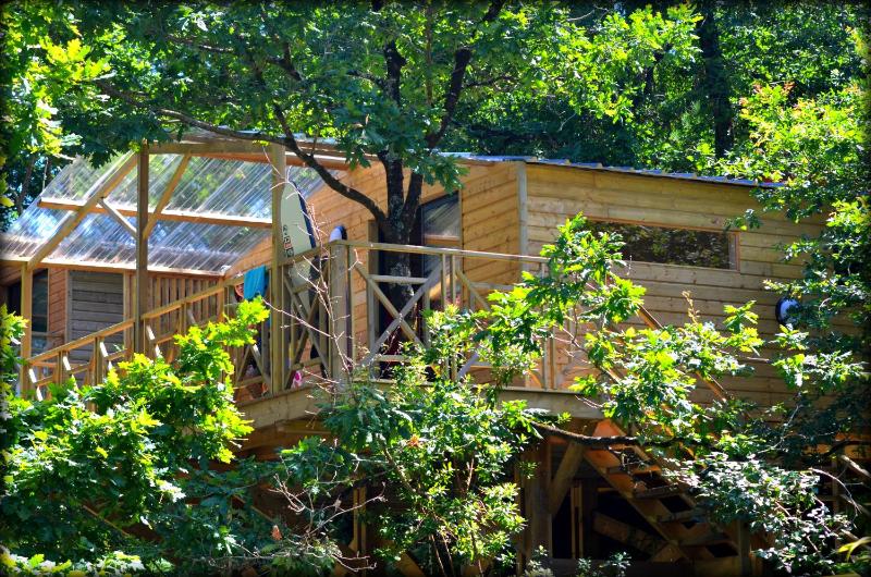Cabane ''Robinson'' dans les arbres de Nature et Océan à côté de la plage Images