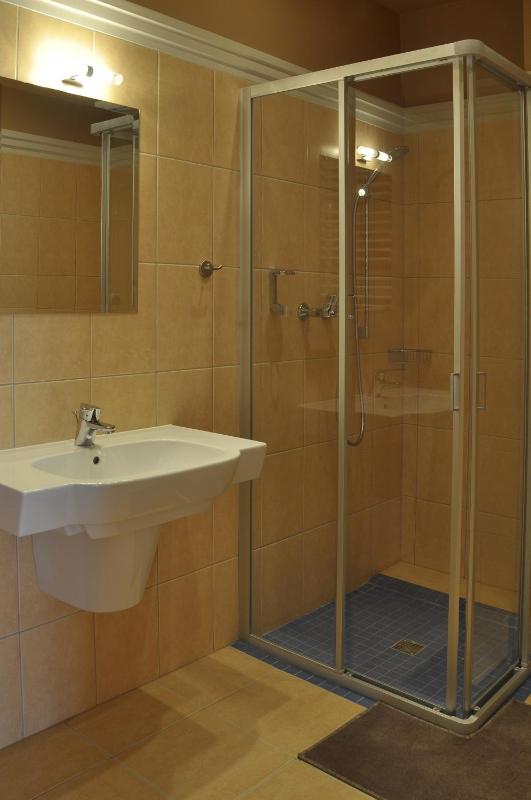 Standard Single Room image 4
